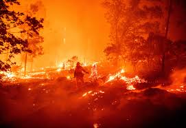 cháy rừng california 2020