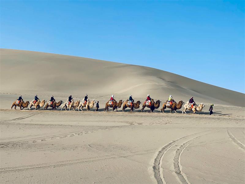 Gobi 022