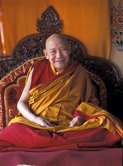 trulshik rinpoche (2)