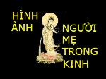 hinh-anh-nguoi-me-trong-kinh