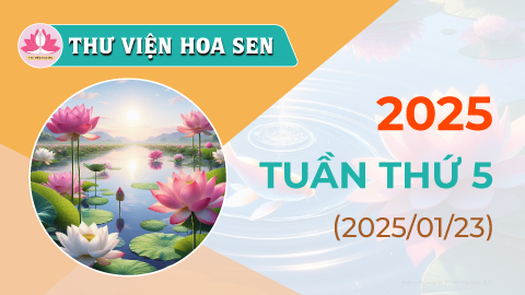 2025-tuan-thu-5-tvhs
