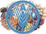 fao