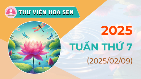 2025-tuan-thu-7-tvhs