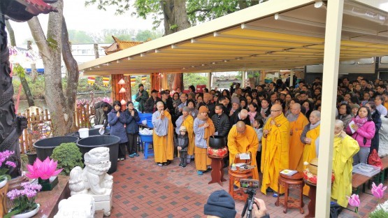 Lễ phóng sanh trong sân chùa Bảo Quang (Deutschlandradio -Mechthild Klein)