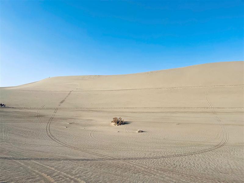 Gobi 017