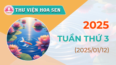 2025-tuan-thu-3-tvhs