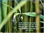 ngo-truc
