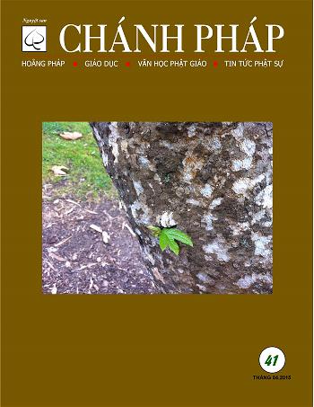 ChanhPhap 41 (04.15) cover2