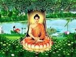 duc-phat-ngoi-thien