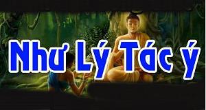 nhu ly tac y