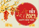 tet-viet-nam-2023