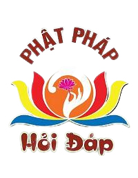 phat-phap-hoi-dap-removebg-preview (2)
