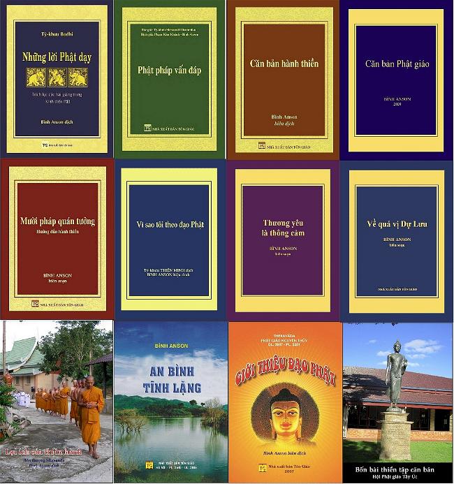 Binh Anson Publications (1)