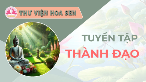 tuyen-tap-thanh-dao-tvhs