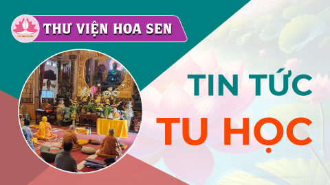 tin-tu-hoc-tvhs