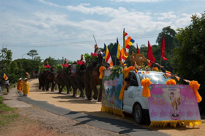 Voi Tây Nguyên Rước Phật Về Buôn Làng 2