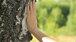 Touch Tree 3