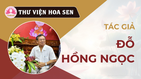 do-hong-ngoc-tvhs