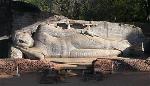 hinhtuong-33