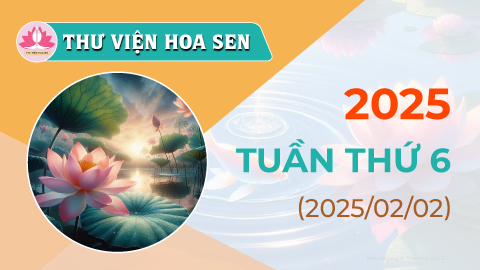 2025-tuan-thu-6-tvhs