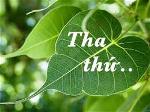 tha-thu