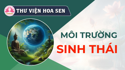 moi-truong-sinh-thai-tvhs