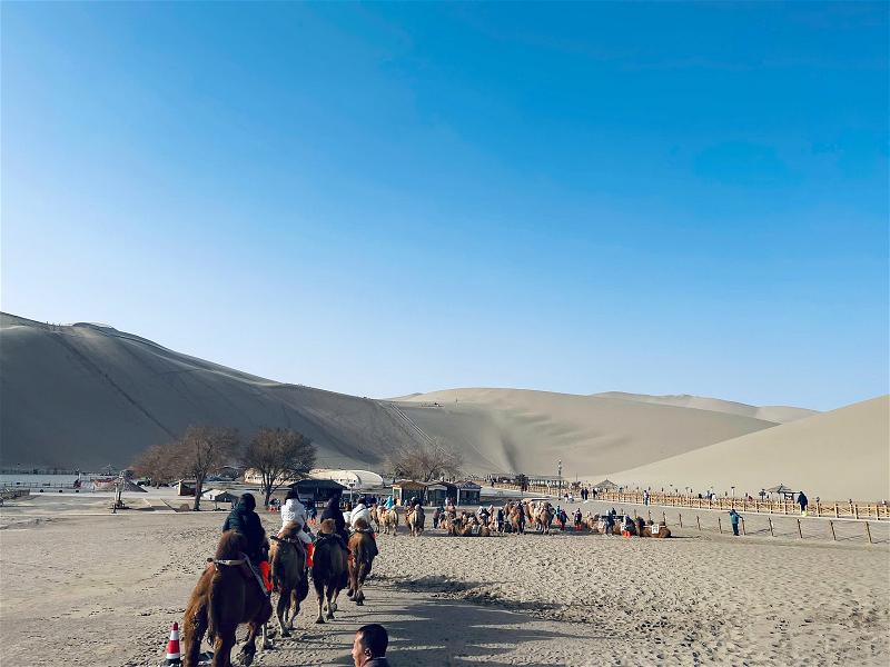 Gobi 015
