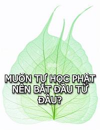 la bo de 2