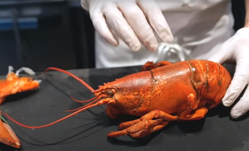 _B3 tom hum_lobster