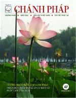 biachanhphap43