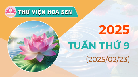 2025-tuan-thu-9-tvhs
