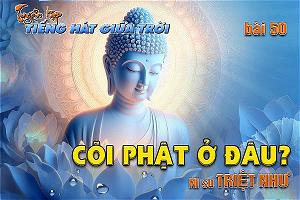 coi phat o dau