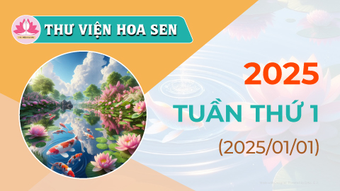 2025-tuan-thu-1-tvhs