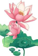 lotus-flower-3-