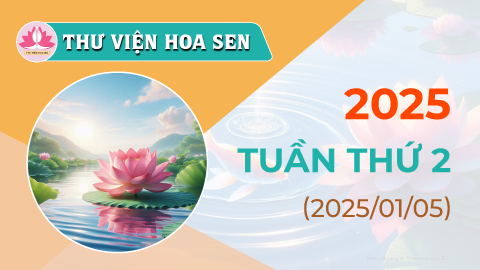 2025-tuan-thu-2-tvhs