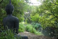 anh-minh-hoa-duc-phat-ngoi-thien-trong-rung