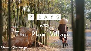thai plum village