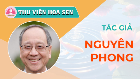 nguyen-phong-tvhs
