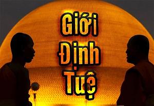 gioi-dinh-tue