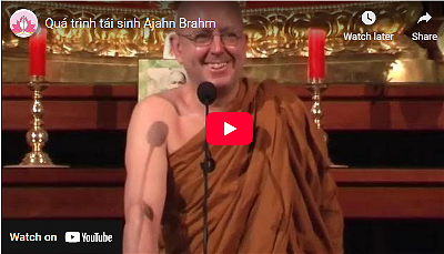 qua trinh tai sinh video