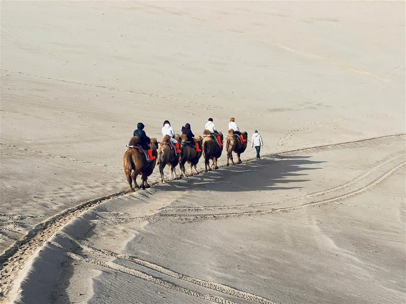Gobi 005