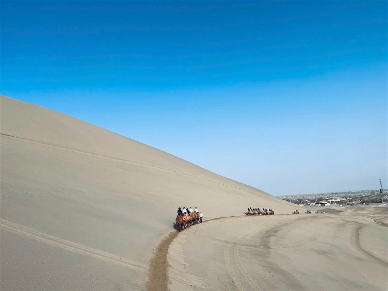 Gobi 018