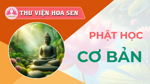 phat-hoc-co-ban-tvhs