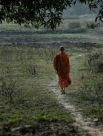 loi-ve-thenh-thang