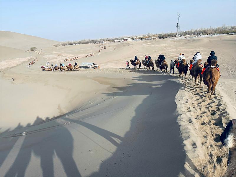 Gobi 016