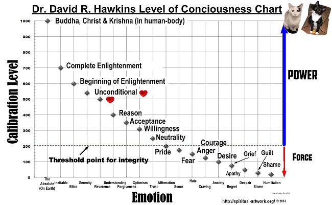 13.-Dr-Hawkins-Level-of-Calibration-Chart