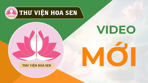 video-moi-tvhs