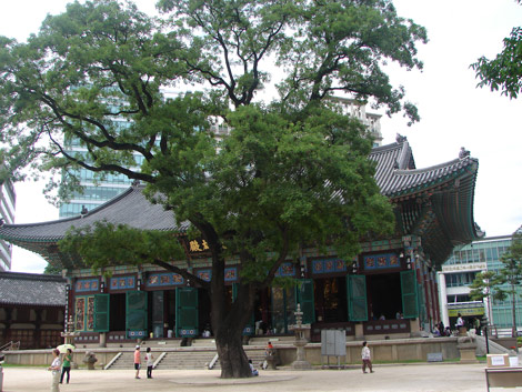 Tòa chính điện chùa Tào Khê
