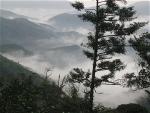 di-hai-phu-van