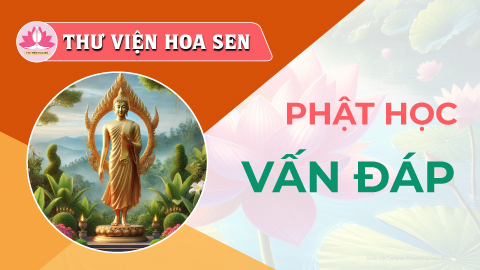 phat-hoc-van-dap-tvhs